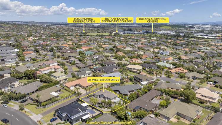 25 Westerham Drive Dannemora_16