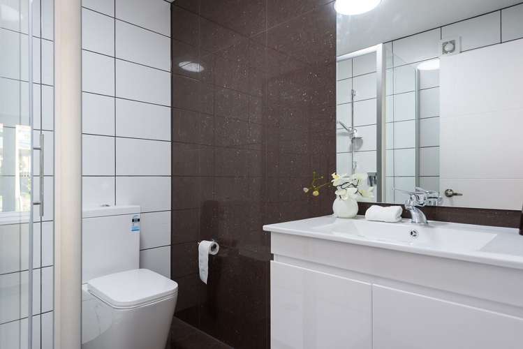 72B Liardet Street Vogeltown_9