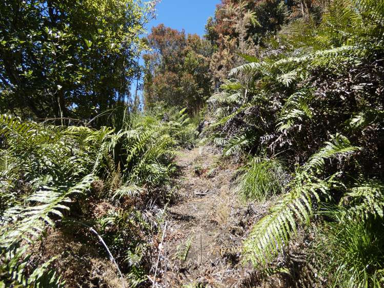 120 Brickfield Road Hokitika_7