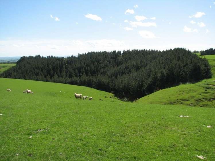 143 Gordon Road Balclutha_9