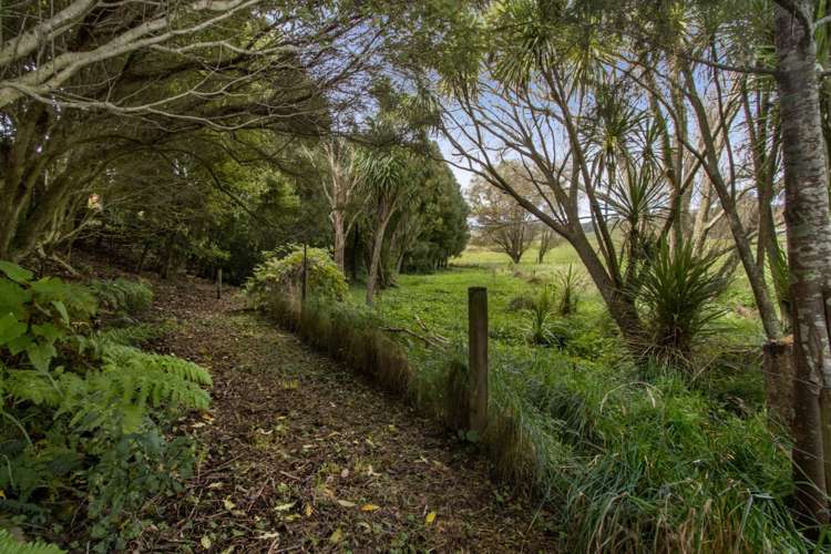 539 Trig Road Waihi_20
