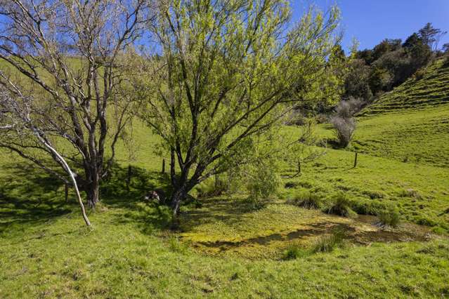 558A Backriver Road Mangonui_4