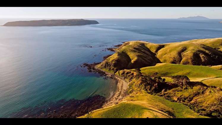 Pikarere Farm Porirua_1