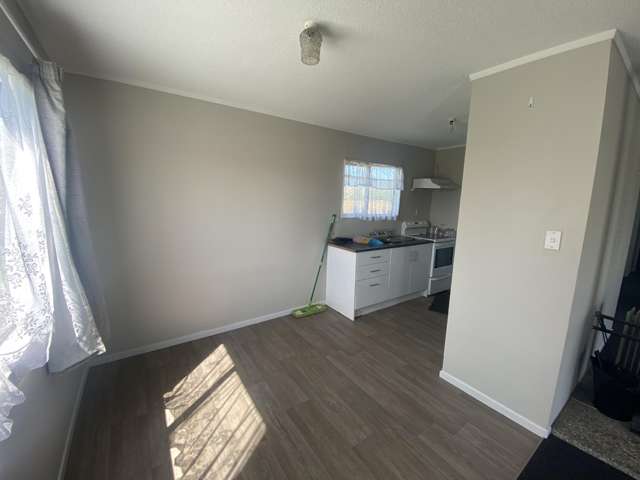 236 Morrinsville-Walton Road Morrinsville_3