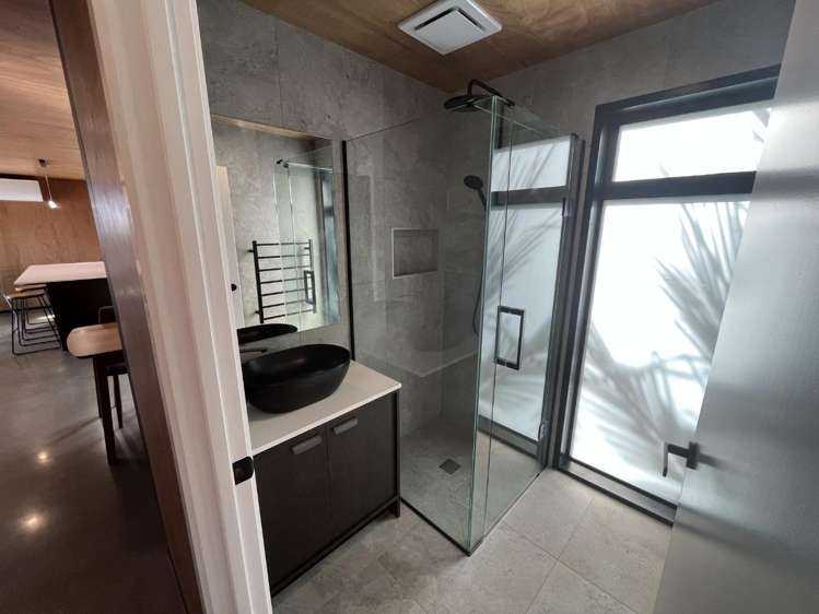 391A Carrington Street Vogeltown_6