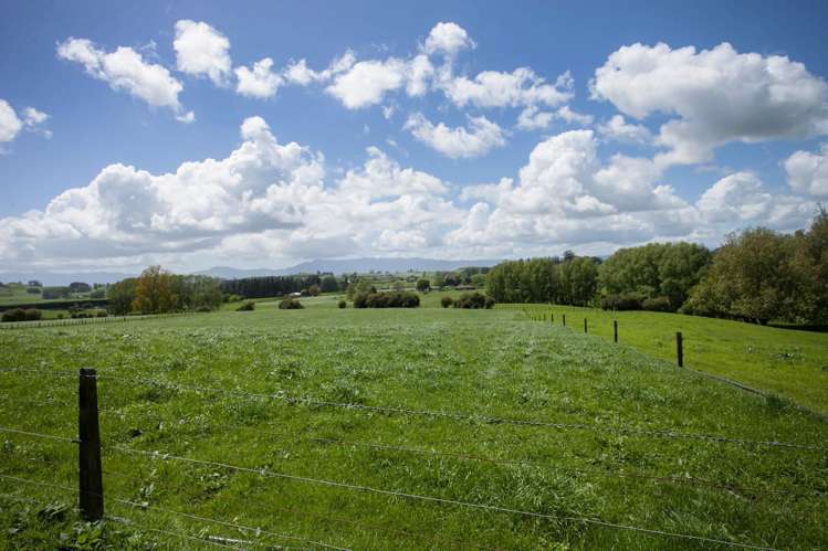 80 Paratu Road Richmond Downs_17