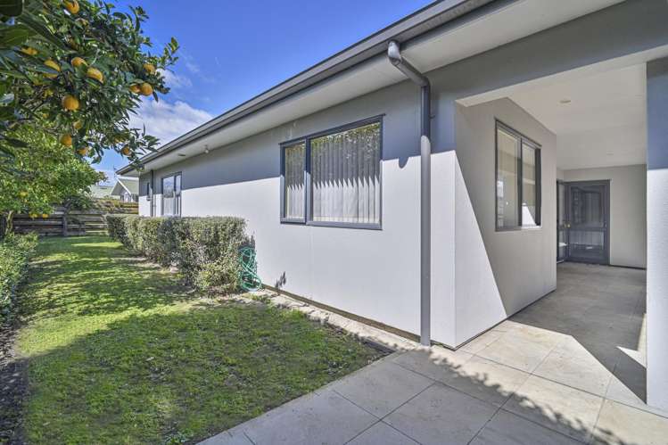 703A Whitehead Road St Leonards_13