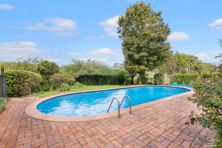 133 Ara-Kotinga Whitford_8