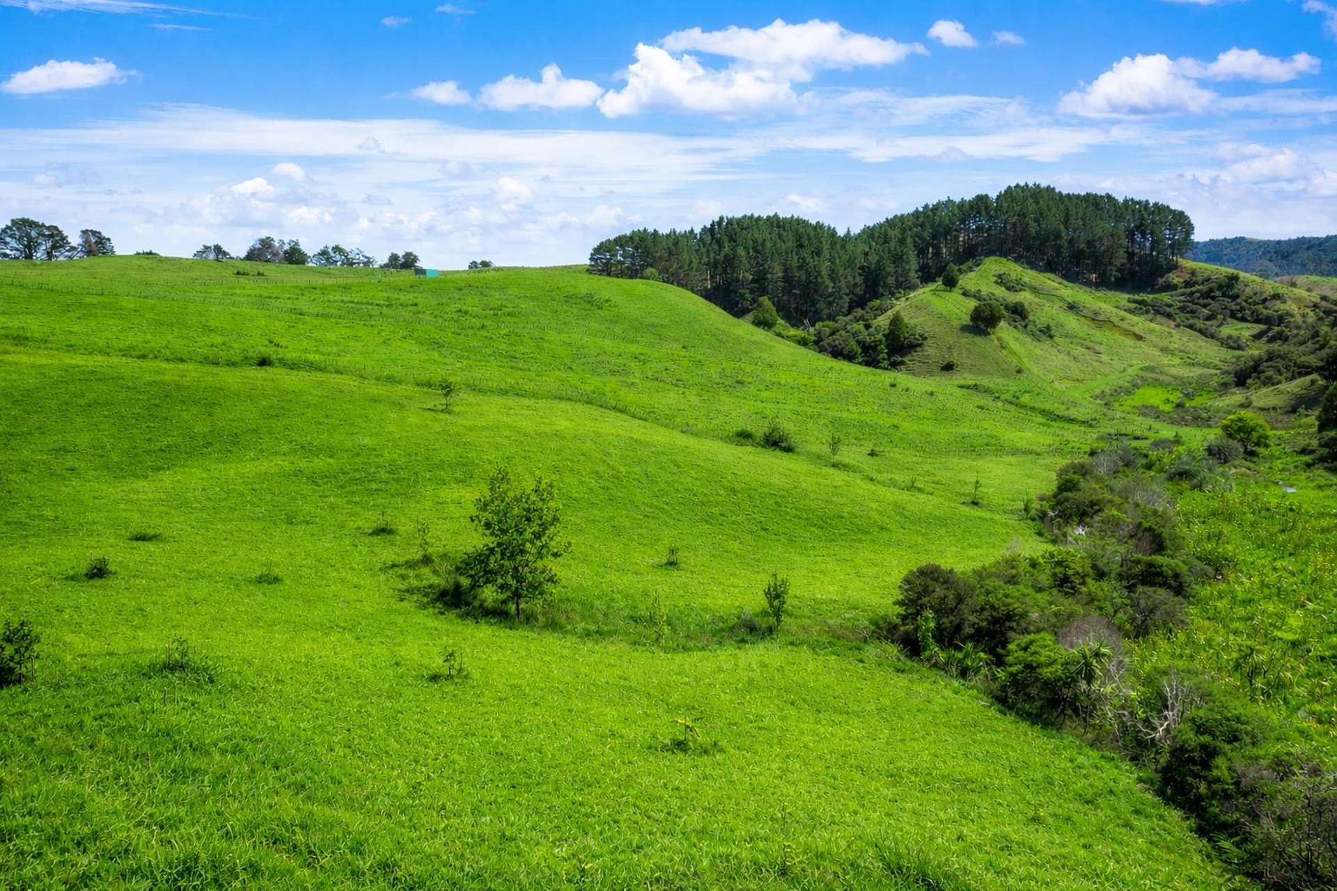 334c Komokoriki Hill Road Makarau_0