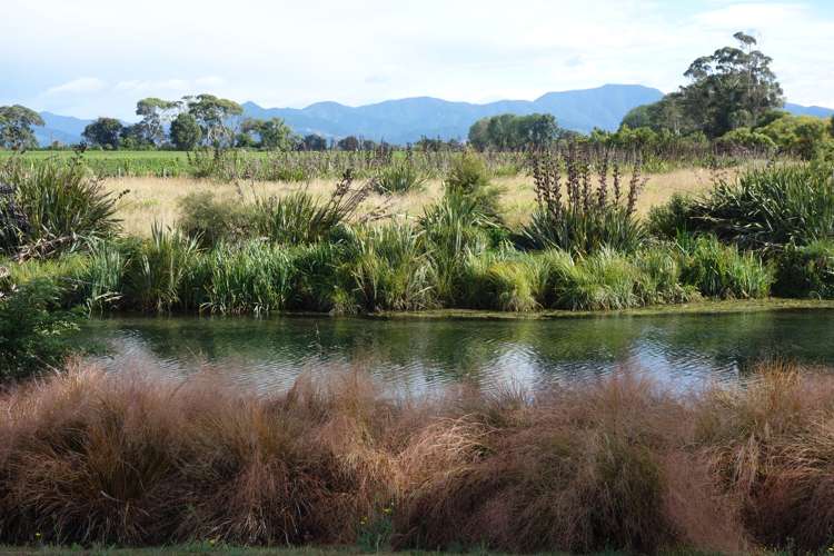 19 Hardings Road Riverlands_17