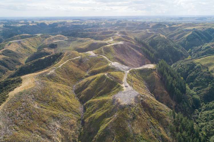 Ridge Road Pohangina_1