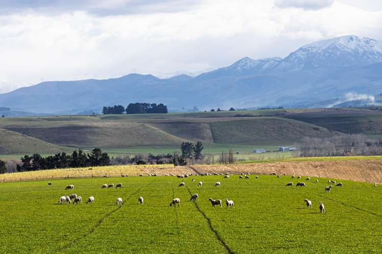 203 Robinson Road Cave_13