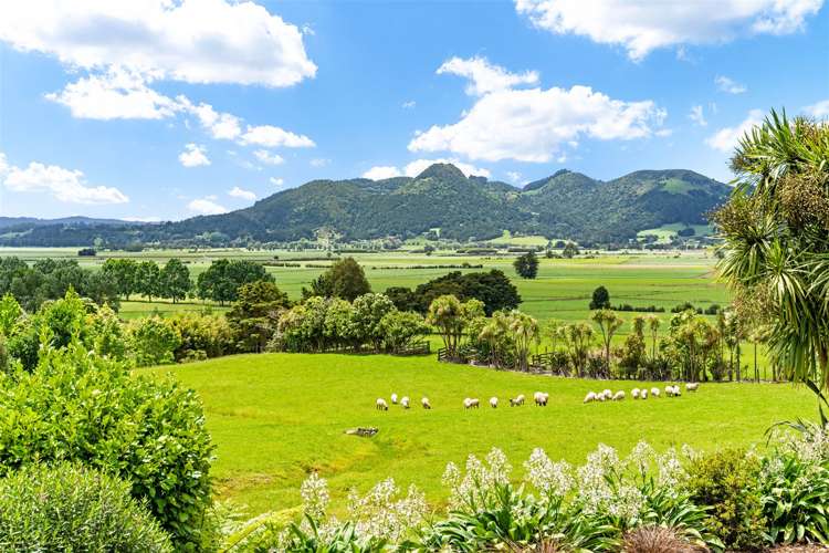 43 Finlayson Road Matarau_21