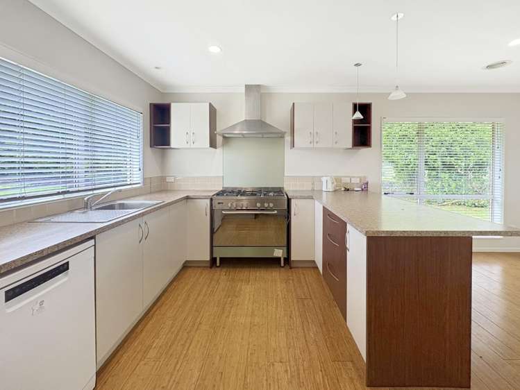 29 Nikau Street 1230_3