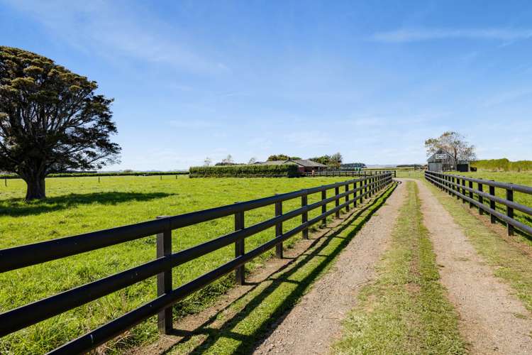 268 Waihi Road Hawera_29