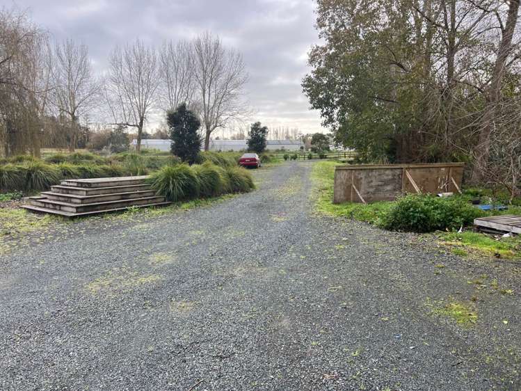 313 Postman Road Dairy Flat_6