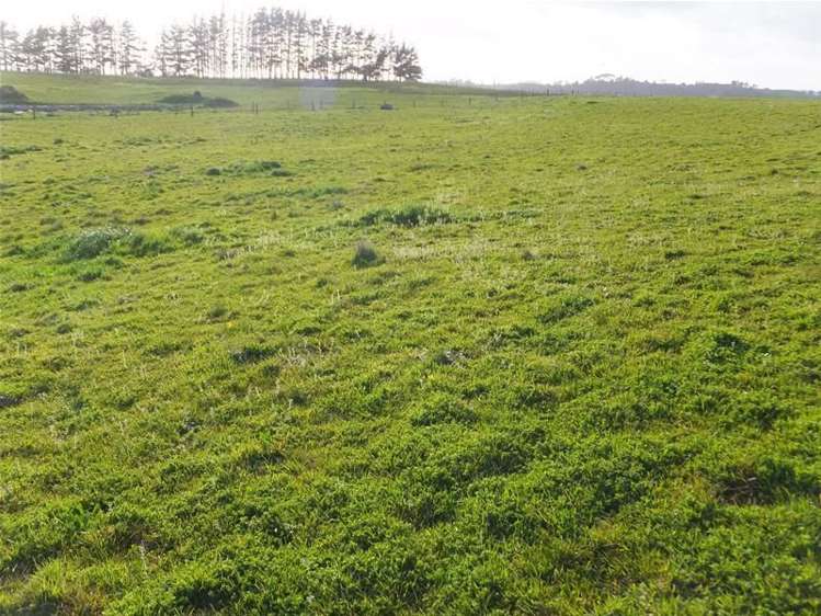 124 Parore West Road Dargaville_6