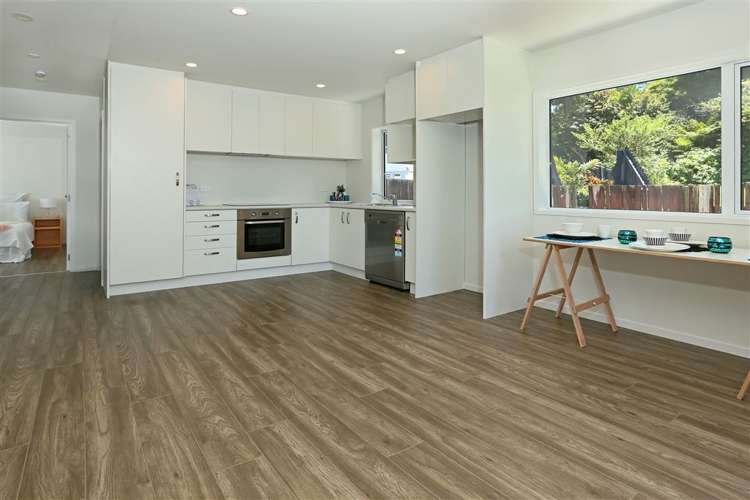 62 Spence Road Henderson_31