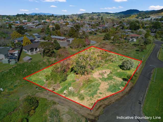 380 and 381 Bradley St Ngaruawahia_1