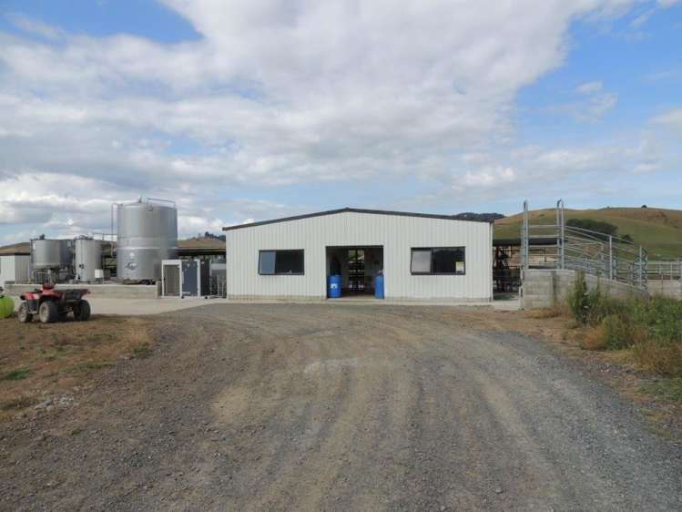 180 Manuel Road Morrinsville_10