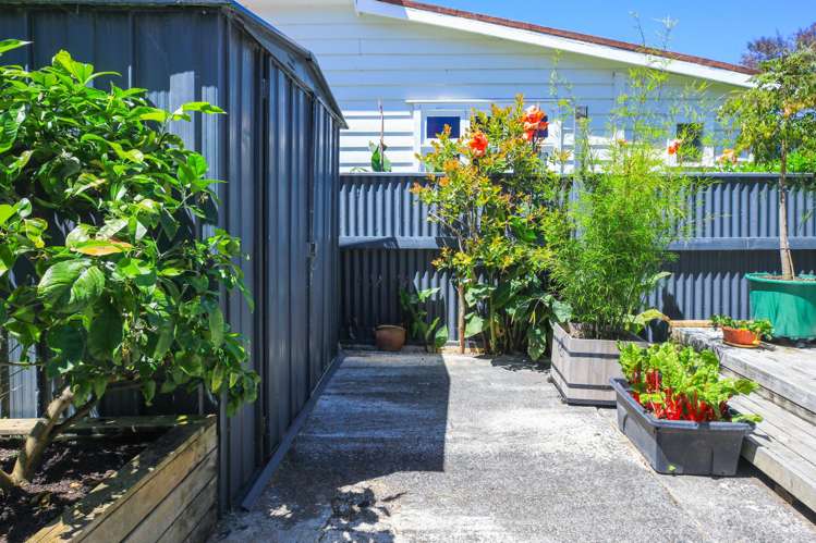 602 Cochrane Street Thames-coromandel_17