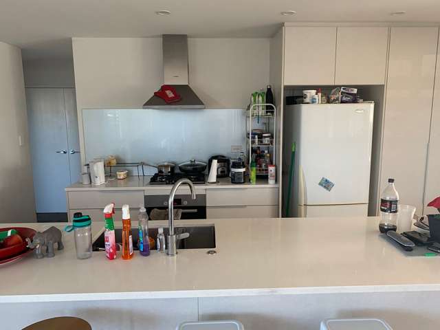 13 Rere Close Takanini_2