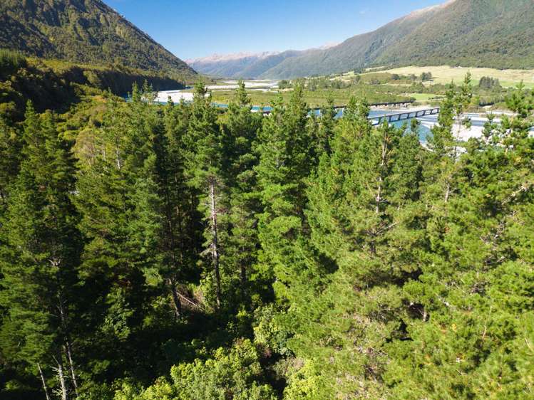 Bell Hill Road Inchbonnie_6