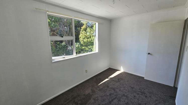 275a Carrington Street Vogeltown_12