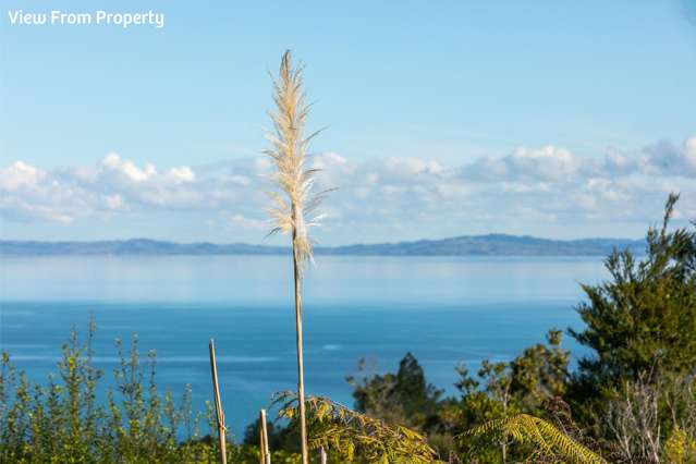 85 Tapu Rise Heights Tapu_3