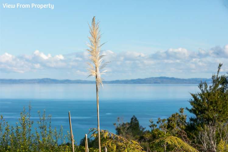85 Tapu Rise Heights Tapu_8