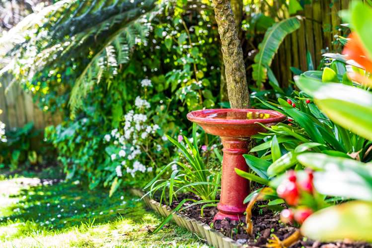 8 Carina Crescent Torbay_23