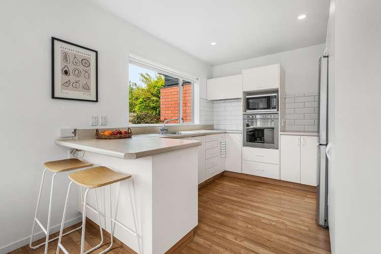 12 McLeish Lane Spreydon_8