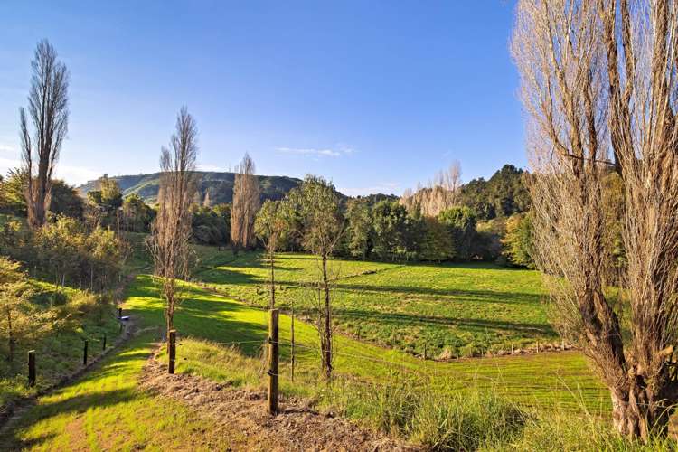 289 Waitao Road Kaimai_9