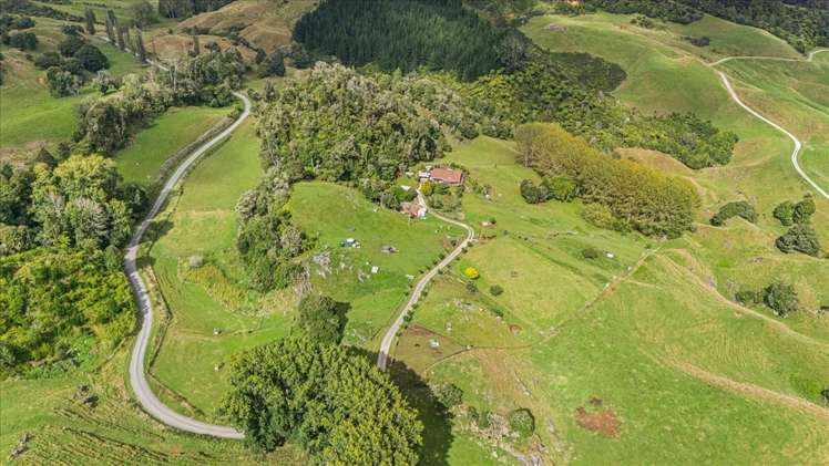 747 Boddie Road Waitomo_28