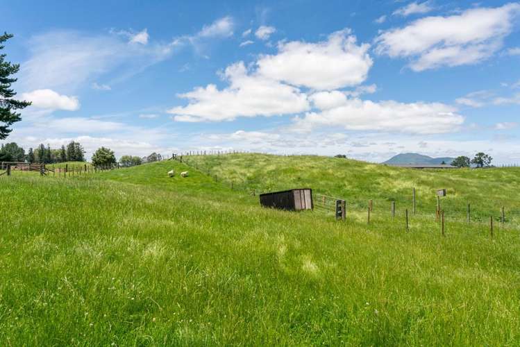 151b Palmer Mill Road Wairakei And Surrounds_41