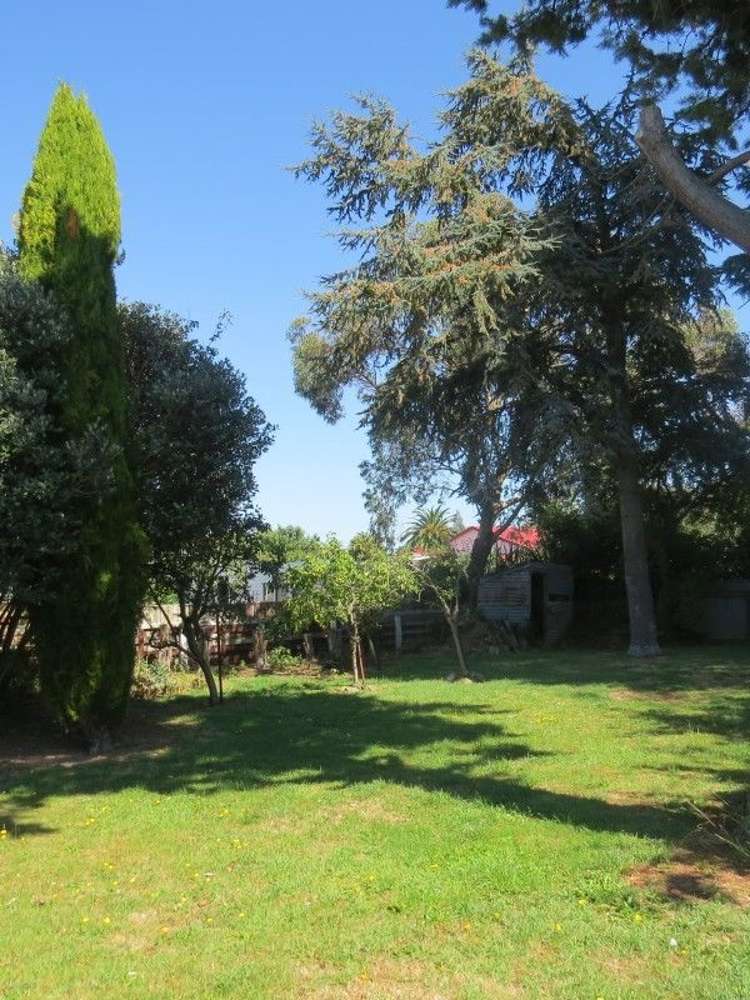 64 Sedcole Street Pahiatua_6