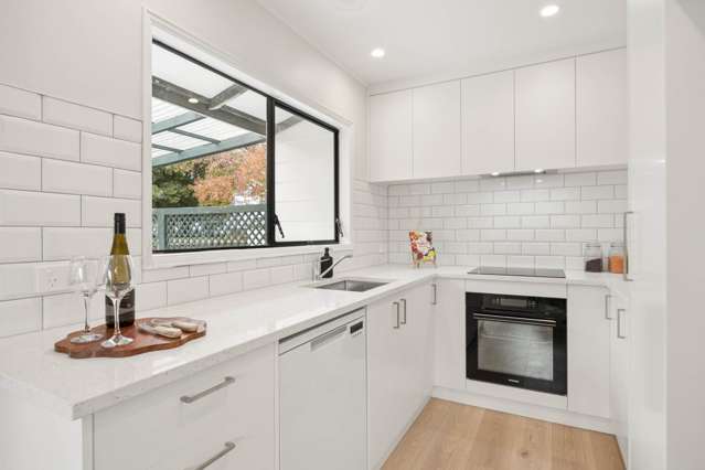 91B Penney Avenue Mt Roskill_3