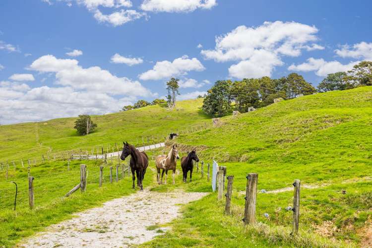 421 Wharehine Road Wharehine_17