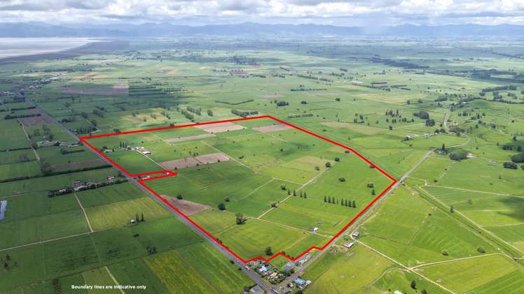 376 State Highway 25 Waitakaruru_8