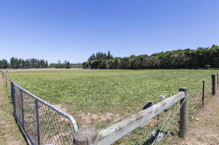 49 Clothiers Road Swannanoa_32