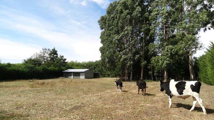 15 Savills Road Yaldhurst_23