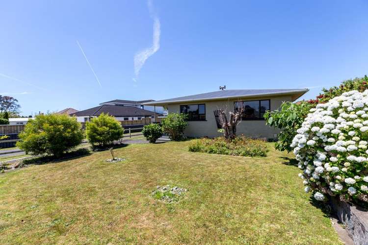 207 South Road Spotswood_22