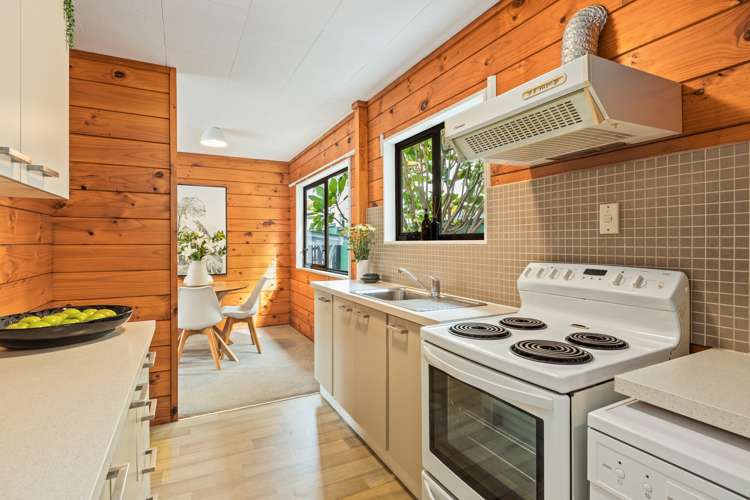 29b Nukumea Common Orewa_9