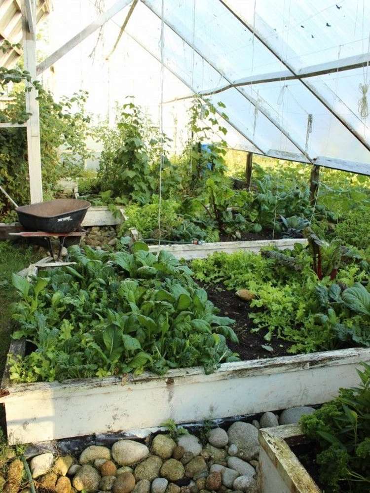 466 Wangapeka Road Kahurangi National Park_11