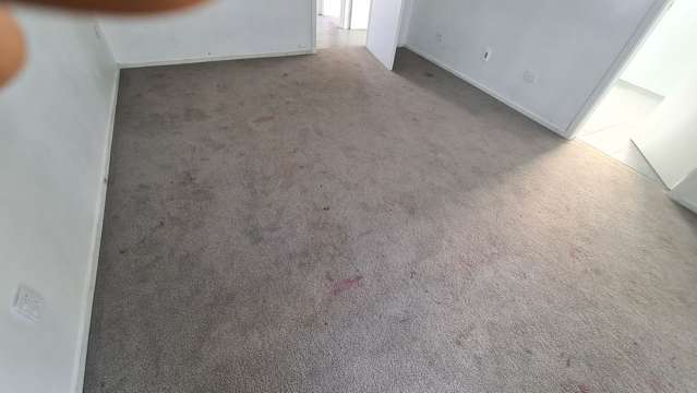 33 Kotuku Street Elsdon_1