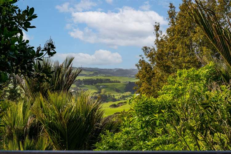 259 School Road Waimauku_18