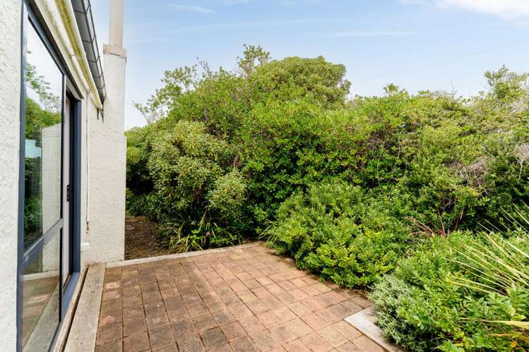 384 Taieri Mouth Road Kuri Bush_34