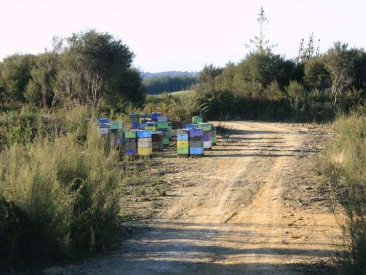 290 Central Road South Upper Moutere_2