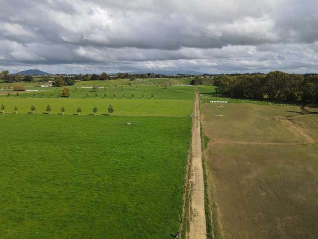 105 Chamberlain Road Te Awamutu_3