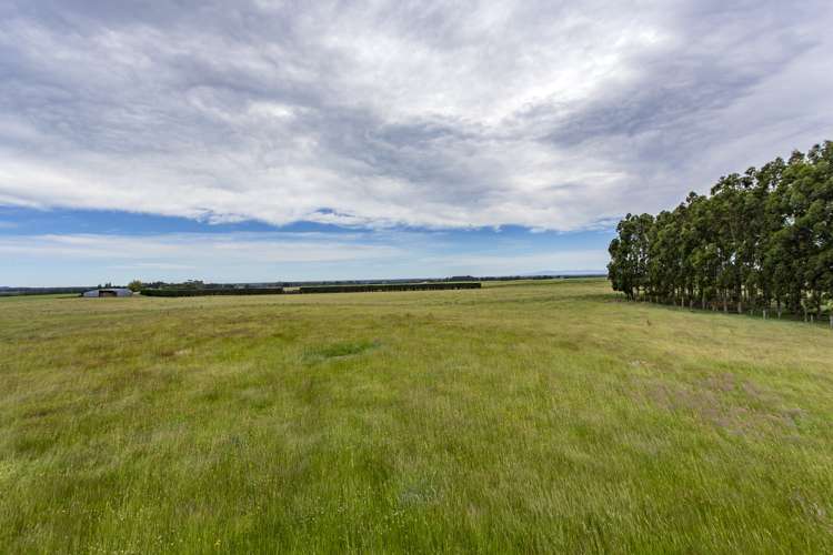 50 Brackenfield Downs Road Fernside_4